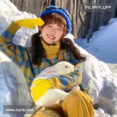 卫昭桥